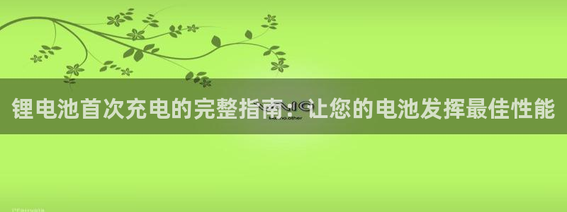 尊龙凯时人生就是博·(中国)官网最新：锂电池首次充电的完整指南：让您的电池发挥最佳性能