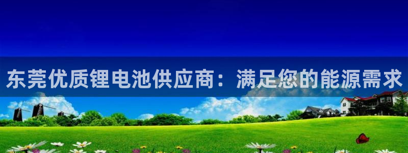 尊龙凯时-人生就是博中国官网最新：东莞优质锂电池供应商：满足您的能源需求