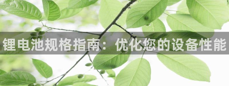 尊龙官网首页：锂电池规格指南：优化您的设备性能